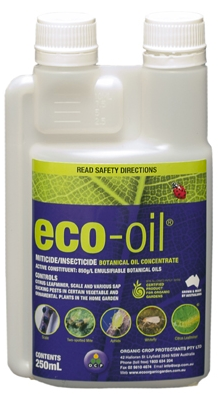 Eco Oil