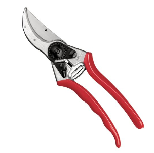 Pruning Shear